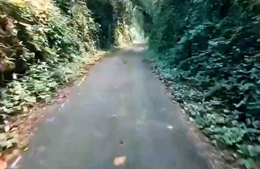 역삼벅시 ↖한별이 OIO 7940 5429 강남 선릉 신사동 선릉 역삼동 강남테란가라오케 역삼동더킹