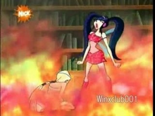 Musa enchantix (dutch)