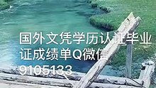 斯特林大学毕业证成绩单[Q/微9105133 ]史特灵毕业证成绩单公证*学位证书文凭学历认证/留信网认证录取通知书,雅思托福成绩单,在读证明//使馆认证公正University of Stirling