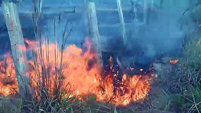 Brasil rechaza ayuda del G7 para combatir incendios amazónicos