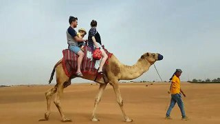 Camel Safari Dubai Dubai Private Adventure