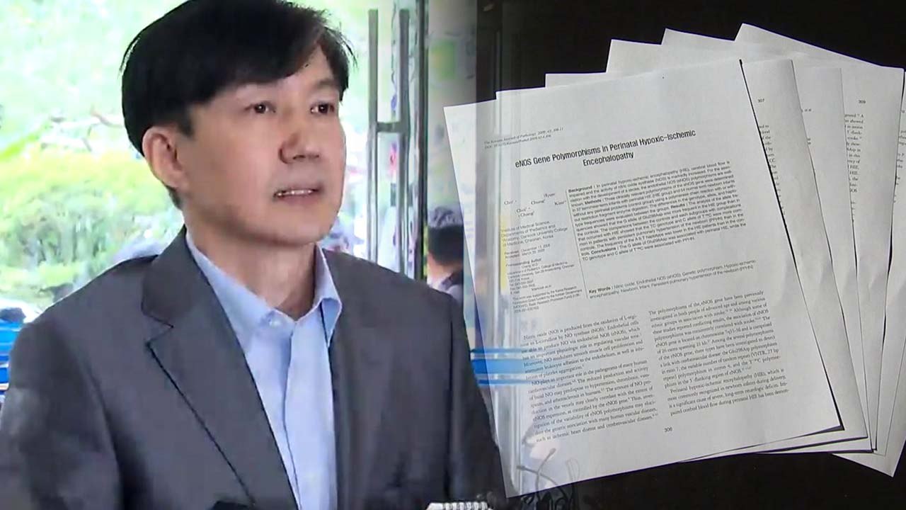 검찰, '조국 가족 의혹' 동시다발 압수수색 / YTN