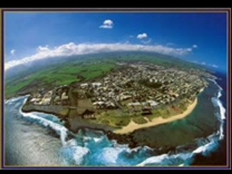 Blacko solitary lion