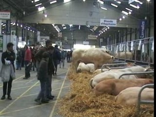 Terralies 2008 l etable