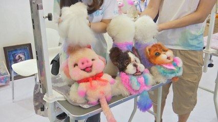 Pet Fair Asia in China features creative hairdressing and exotic animals