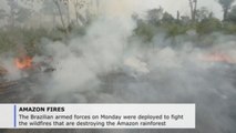 Brazilian troops fight fires in 8 Amazon states