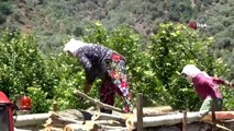 Aydın'daki keresteci kadınların örnek ekmek mücadelesi