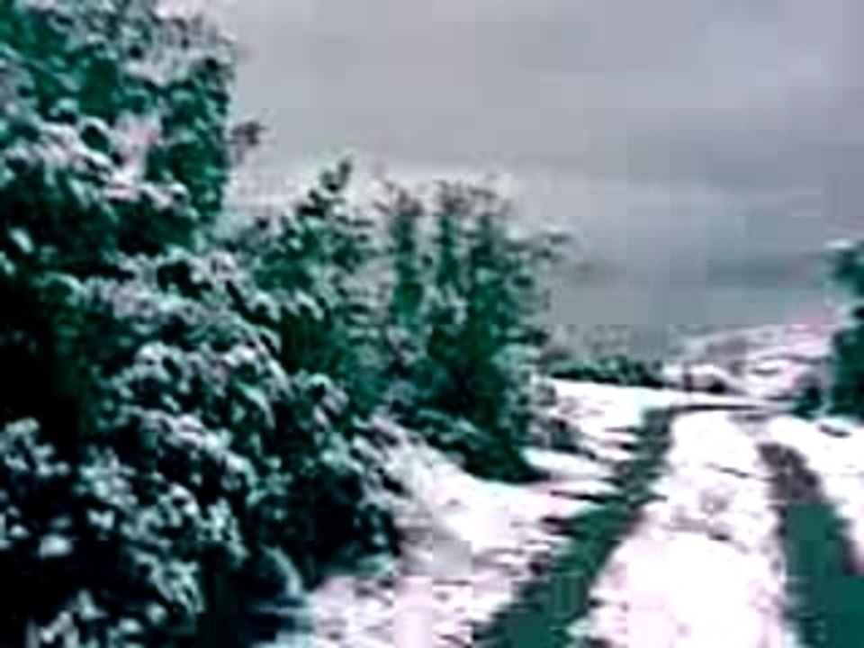 Macera (9)