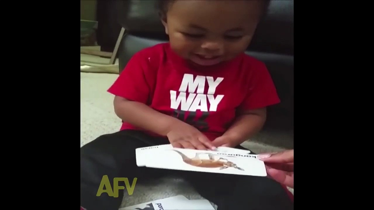 Adorable Little Boy Only Laughs At Donkey