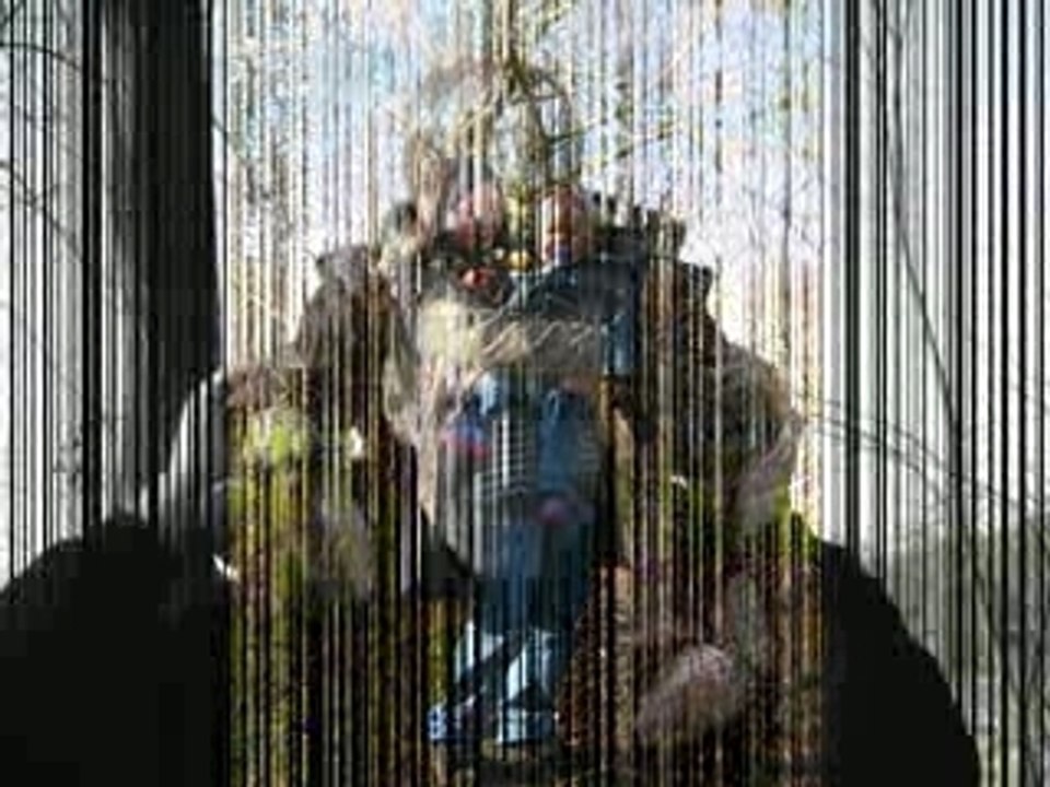 Nathan fait le star_0001