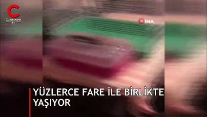Eve girenler gözlerine inanamadı... Yüzlerce fareyle birlikte yaşıyordu