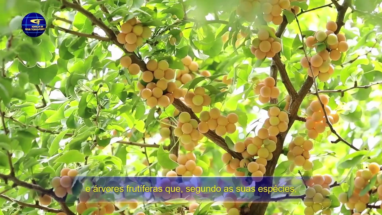 Palavra de Deus Todo-Poderoso "O Próprio Deus, o Único I A autoridade de Deus (I)" Parte um