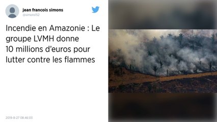 Amazonie : Le groupe LVMH donne 10 millions d’euros pour lutter contre les incendies