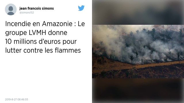 Amazonie : Le groupe LVMH donne 10 millions d’euros pour lutter contre les incendies
