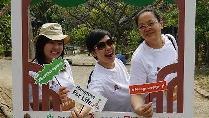 Kompak Lestarikan Mangrove Jakarta