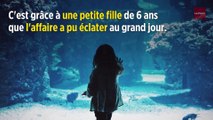 Affaire Le Scouarnec : « Peut-être la plus grande affaire de pédophilie du siècle »