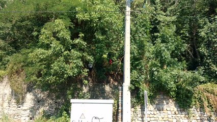 Des fouilles pour des ossements sur le terrll Sainte Désirée a Hornu. Vidéo Eric GHISLAIN