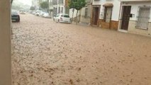 Caen 50 litros por metro cuadrado en Pedrera (Sevilla)