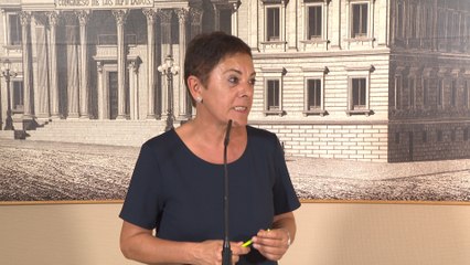 Bildu: "No hay ningún pacto con el PSOE"
