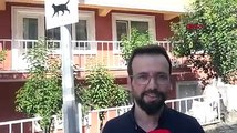 Avcılar'da sürücüler için ‘Kedi Çıkabilir’ tabelaları astılar