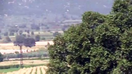 Suriye sınırındaki volkanik göller leylekleri misafir ediyor - HATAY