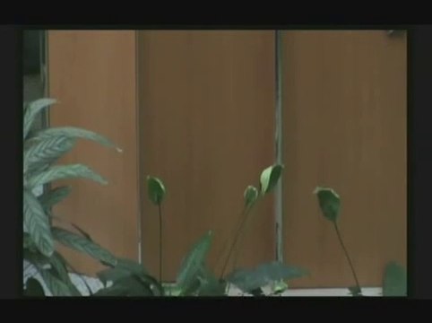 Cristi Boariu - Iosif. Gropile pe care le poti intalni in viata | Predica