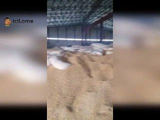 Ministère de l’Agriculture : Des stocks de maïs avariés objet de tension entre l’ANSAT et le Mouvement 7 collines