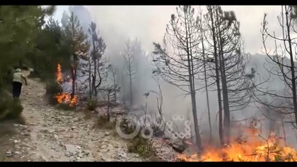 RTV Ora - "Nuk e ndezëm ne zjarrin në mal", lirohen “zjarrvënësit” e Shëngjinit