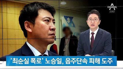 ‘최순실 폭로’ 노승일, 음주단속 피해 1km 도주했다 검거