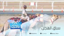 سباق الهجن في مصيف العرب في الطائف!