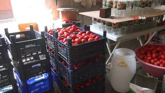 Sinop’ta Domates Salçası Mesaisi Başladı