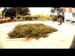 1 - Preroll + Toaster + Companion