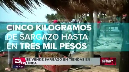 Tiendas en línea hacen del zargazo un negocio