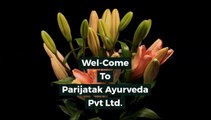 Pitta Dosha Treatment in Nagpur | Pitta Ayurveda Type | Parijatak