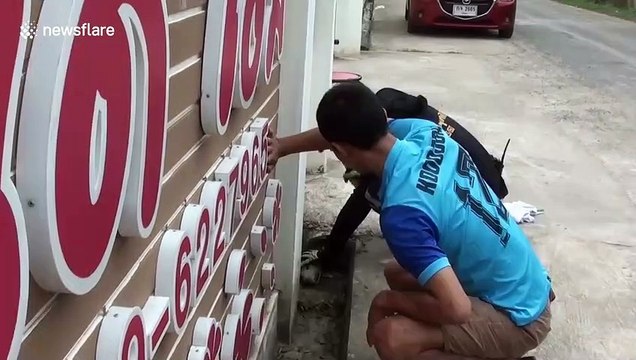 Dog rescued after getting stuck in concrete drain pipe