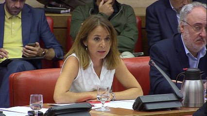 PSOE dice que Calvo no tendrá problema en comparecer por Open Arms