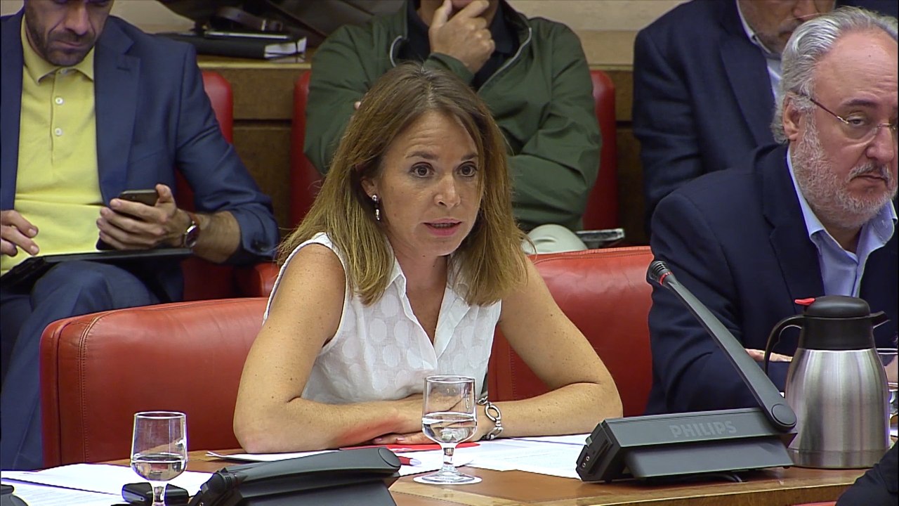 PSOE dice que Calvo no tendrá problema en comparecer por Open Arms