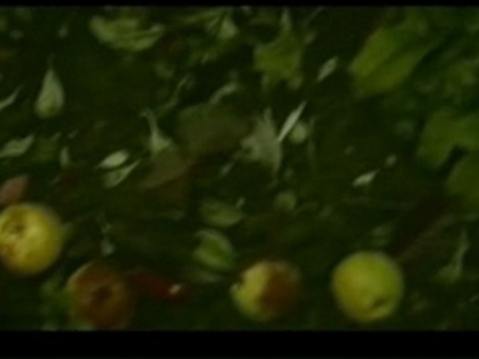 Marc Lavoine & C.Marocco - J'ai tout oublie