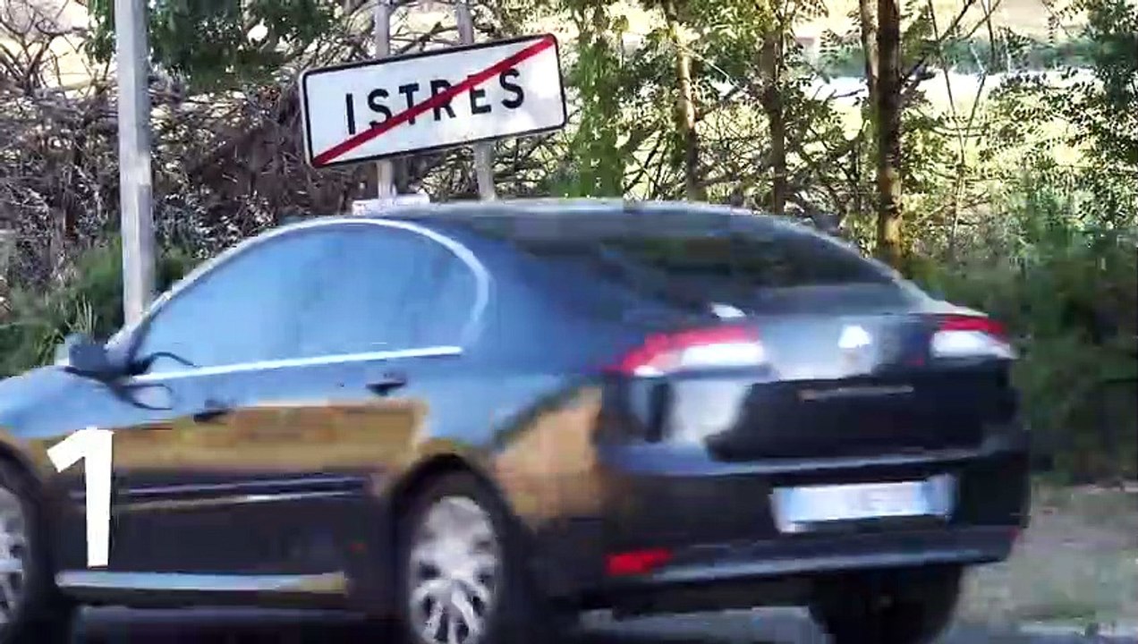 Un istréen film "l'abandon" de son chien pour sensibiliser le public