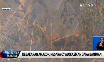 Kebakaran Amazon, Negara G7 Alokasikan Dana Bantuan