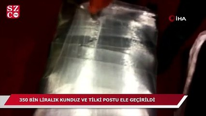 Esenboğa Havalimanı'nda 350 bin liralık kunduz ve tilki postu ele geçirildi