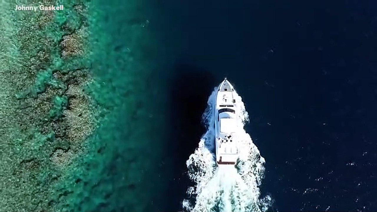 Saving The Great Barrier Reef: Sinkhole Discovered Could Be The Key