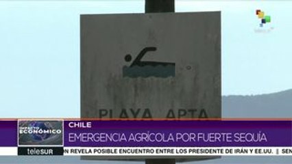 Chile: declaran 4 regiones en emergencia agrícola debido a la sequía