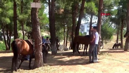 Bayramiç panayırı'nda at ve eşekler satışa çıktı