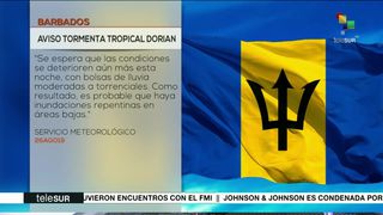teleSUR Noticias: Continúan incendios en la Amazonía