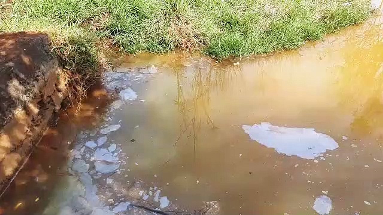Aparente poluição no Lago Municipal preocupa visitante