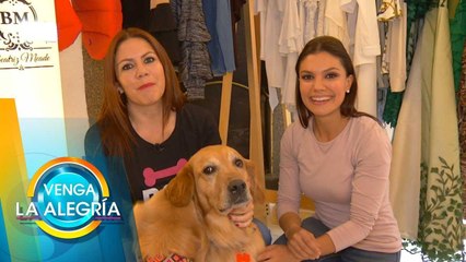 ¡Ayuda a perritos que lo necesitan con esta iniciativa que te viste de pelos! | Venga La Alegría