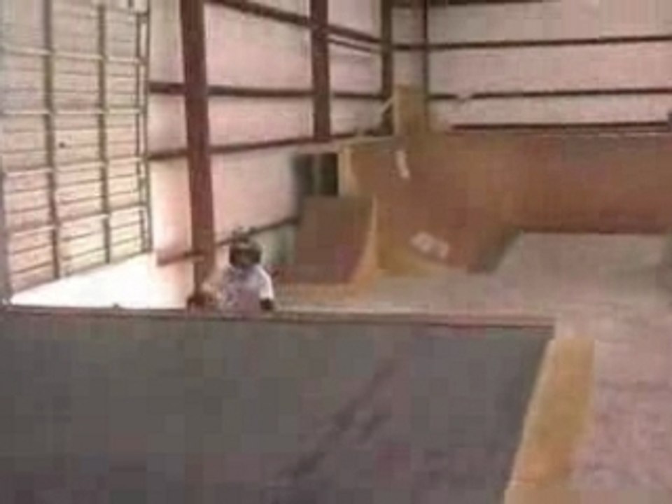 °¤ Bmx Freestyle Dave Mirra ¤°