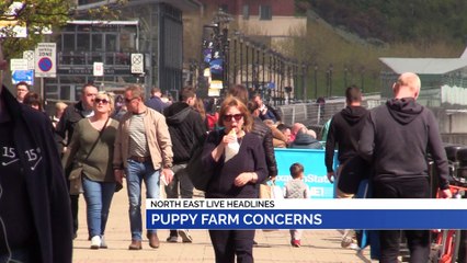 NEWS: 28th August 2019