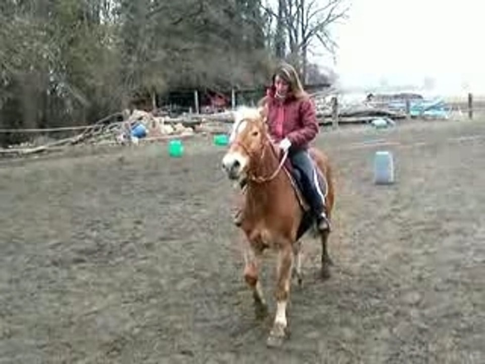 Changements de pied galop